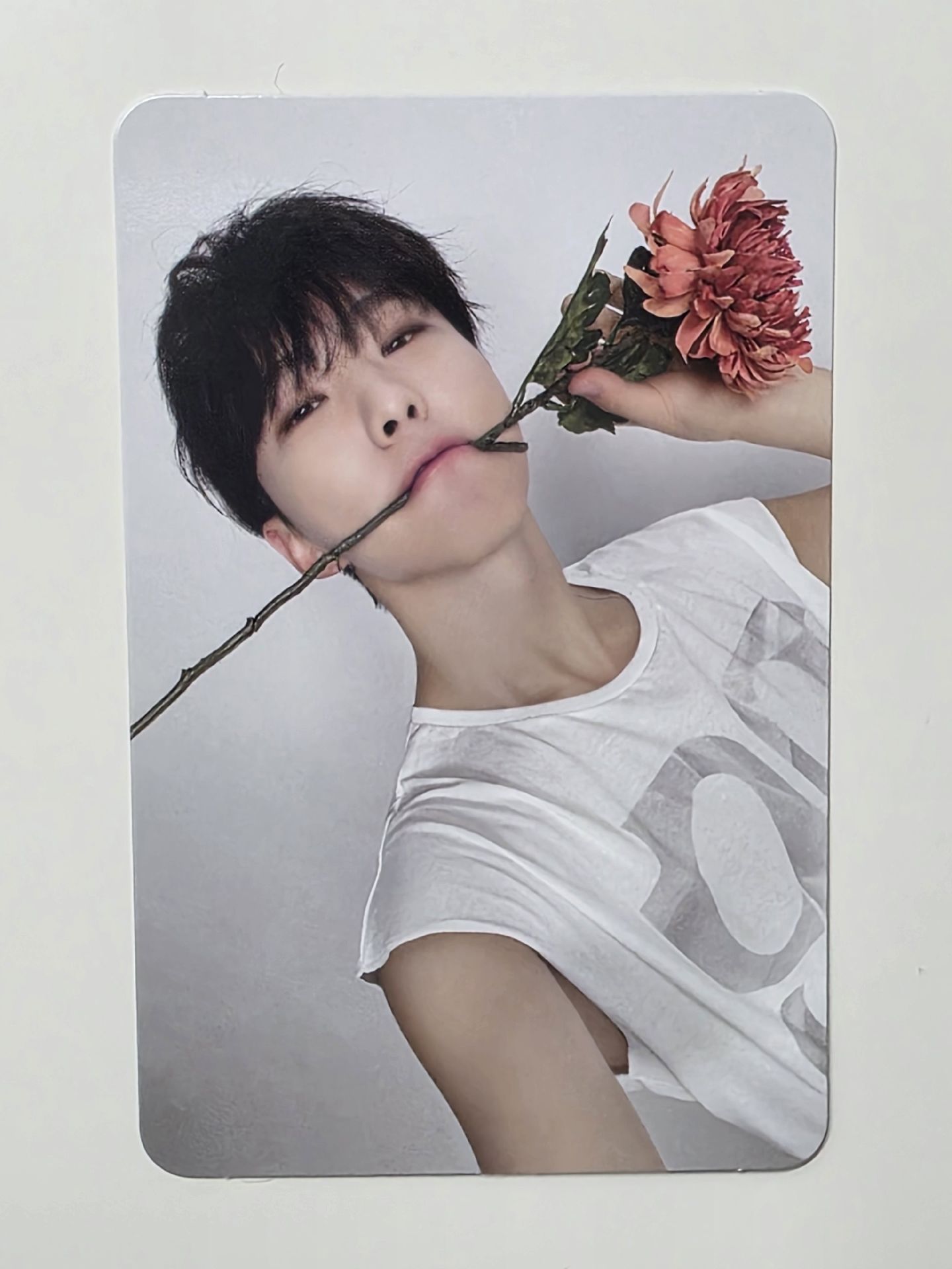 精選專 克拉盤 榮