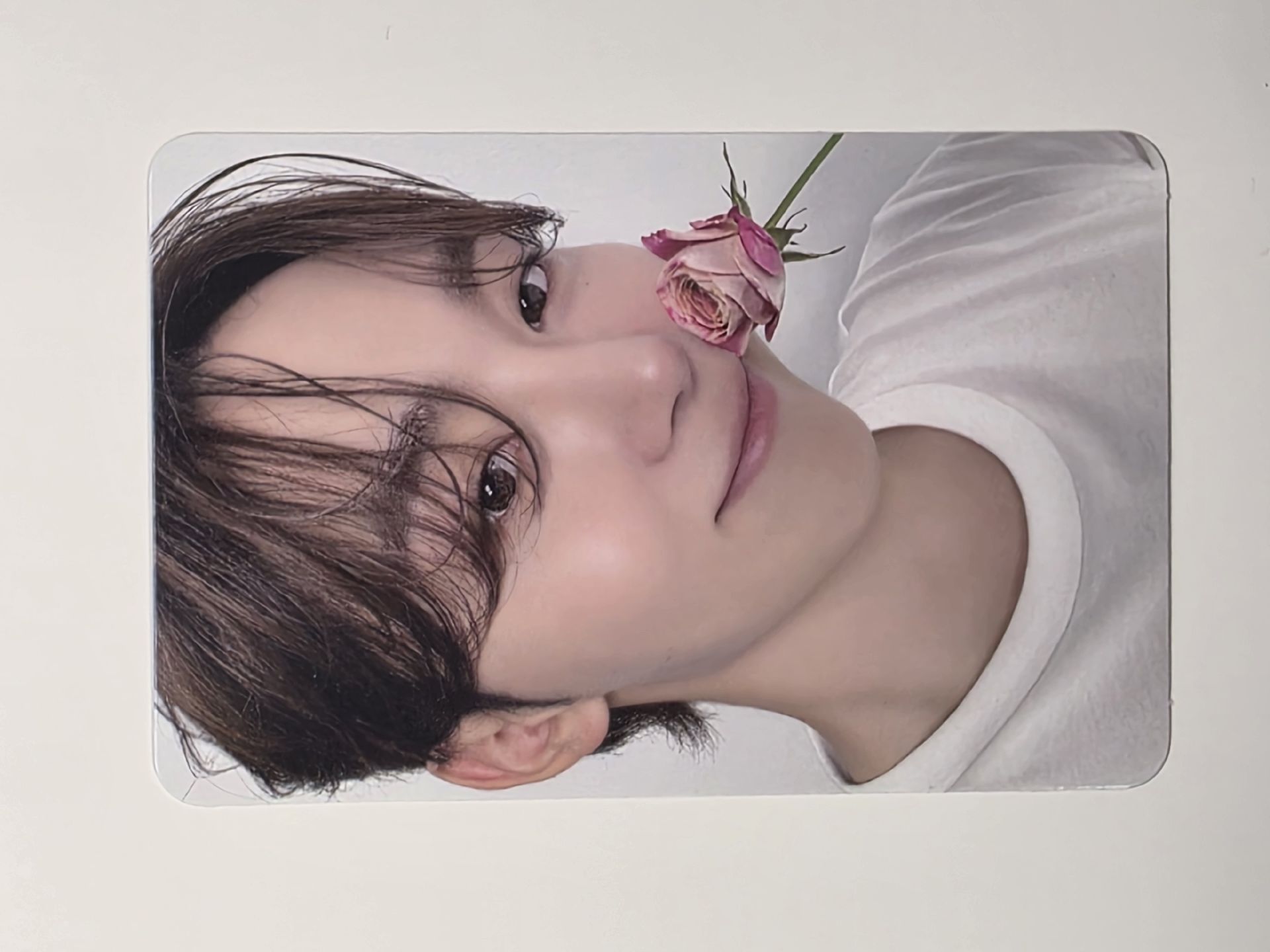 精選專 克拉盤 寛