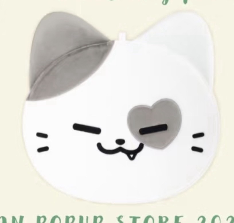 黃禮志扇套 扇套 周邊 TWINZY kkengee