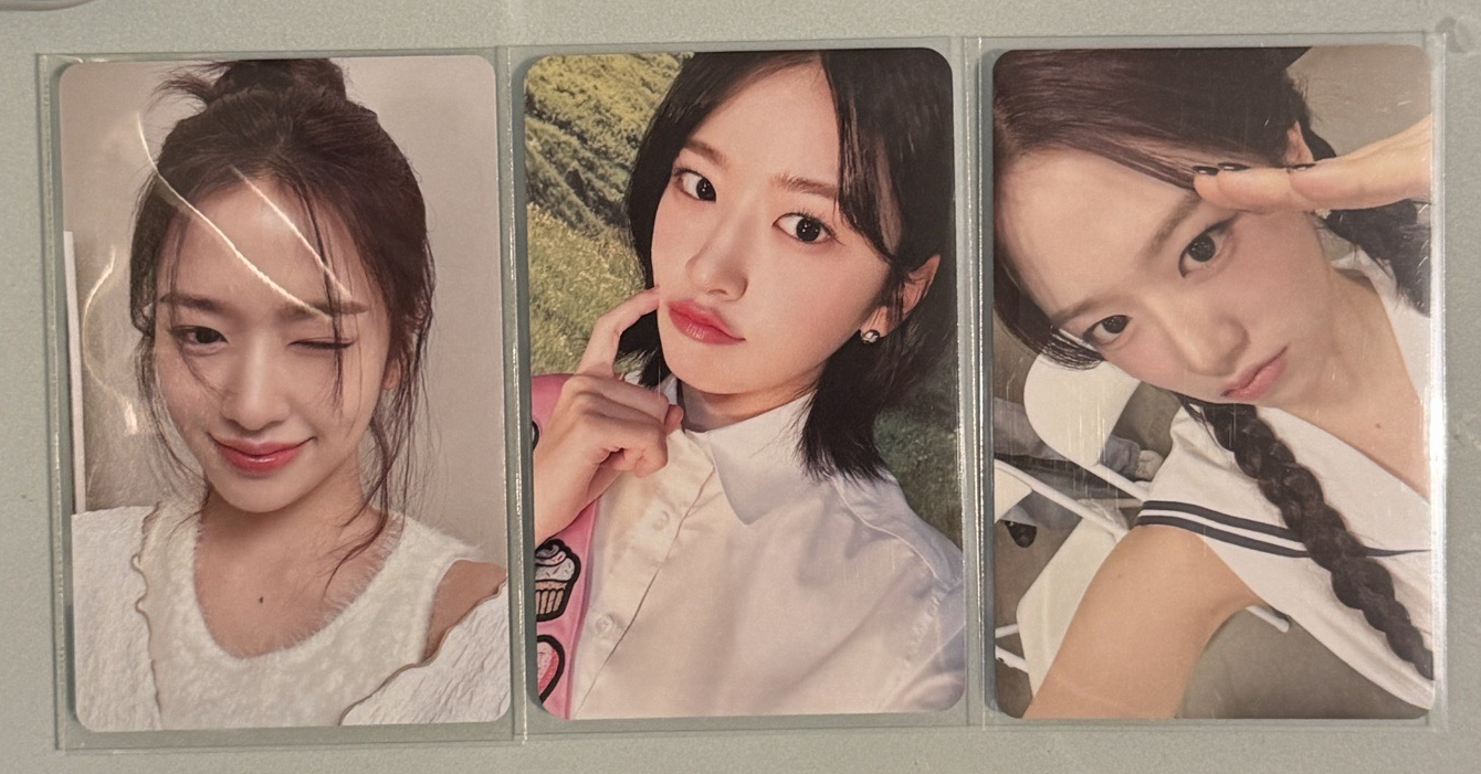 二三四期會員禮安