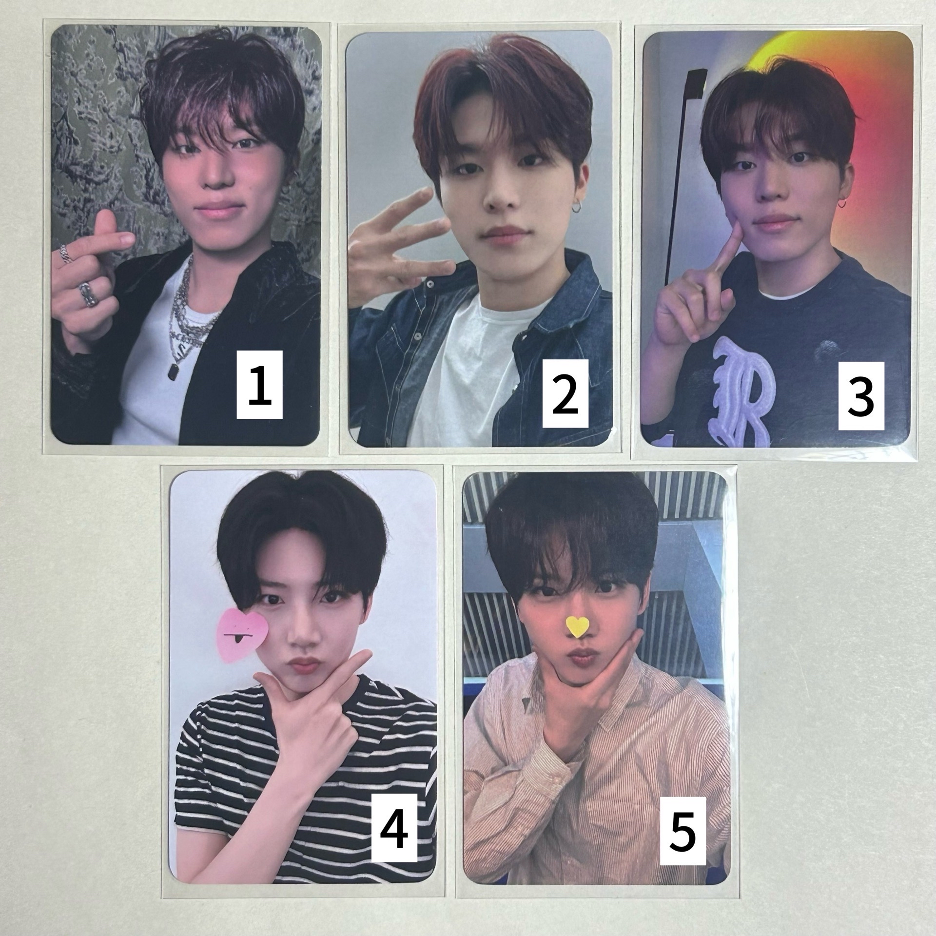 寶石盒 多🐺 全專