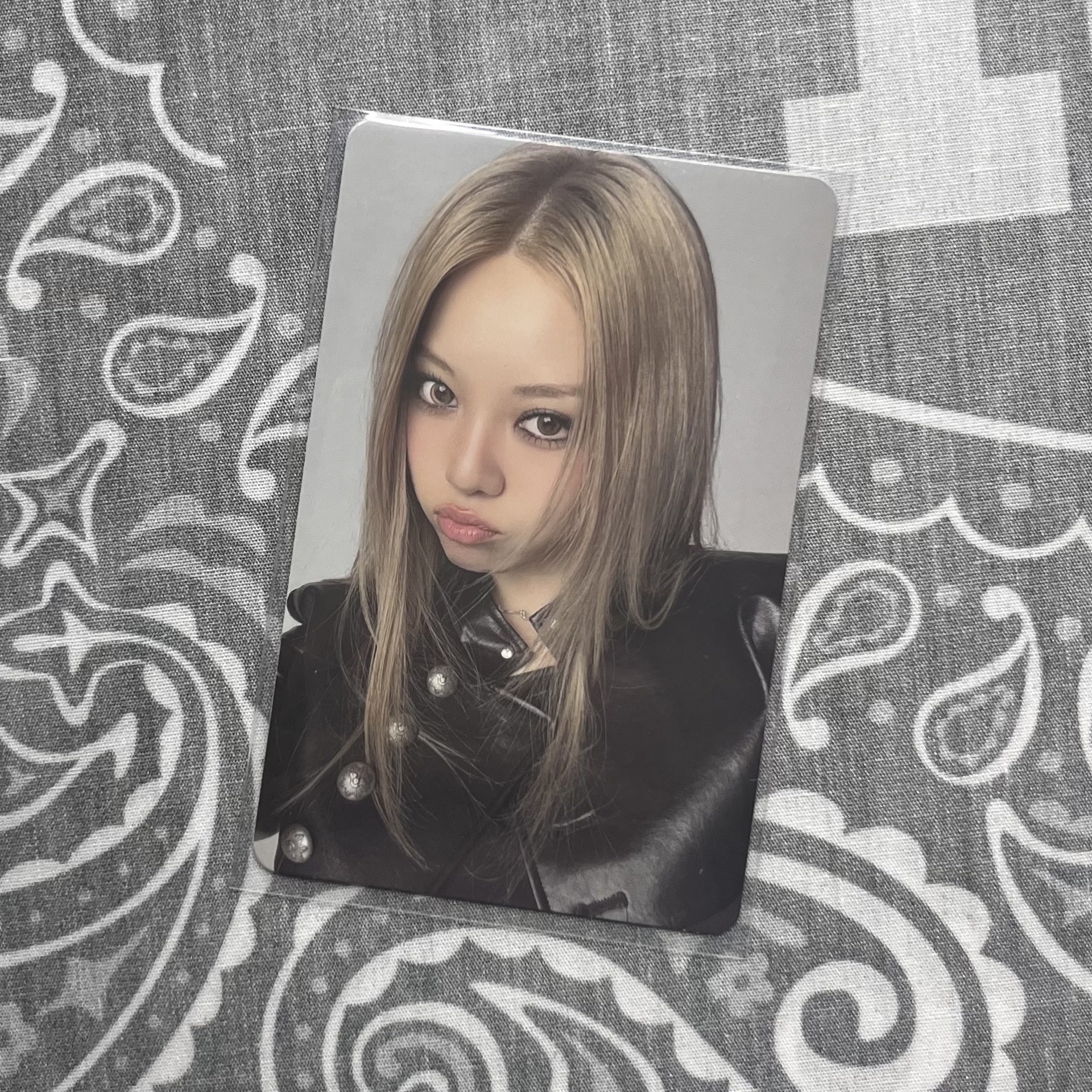 貝 迷一 pb版 專輯卡 ONE ver.