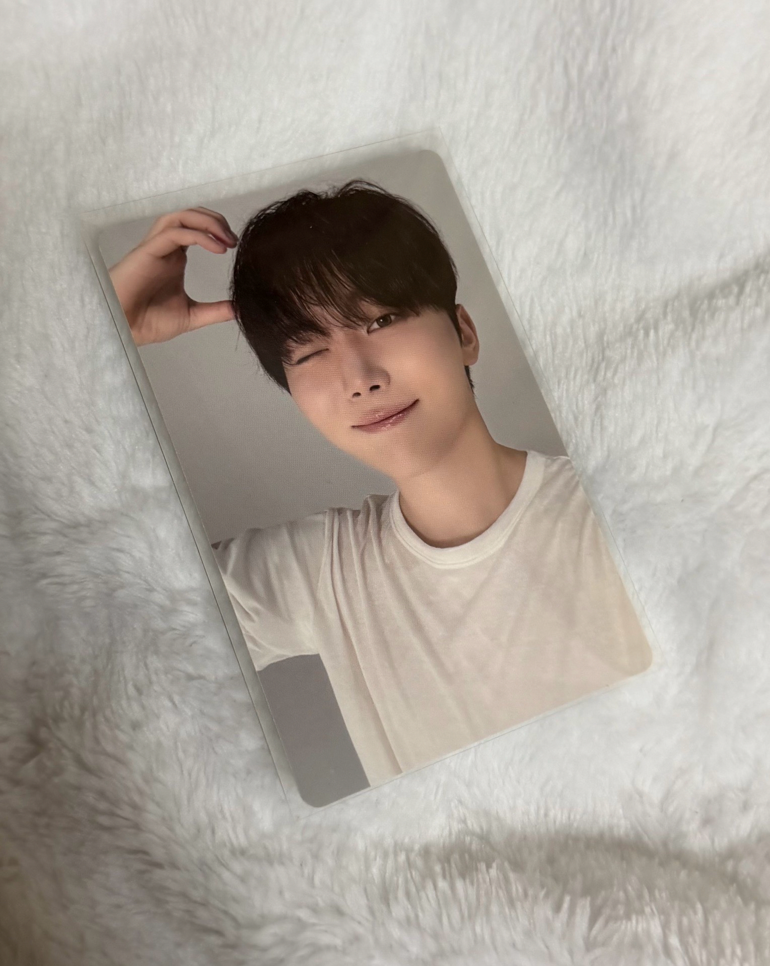 DxS電子專 小熊寛