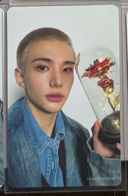 hollow專卡辰1️⃣🧡