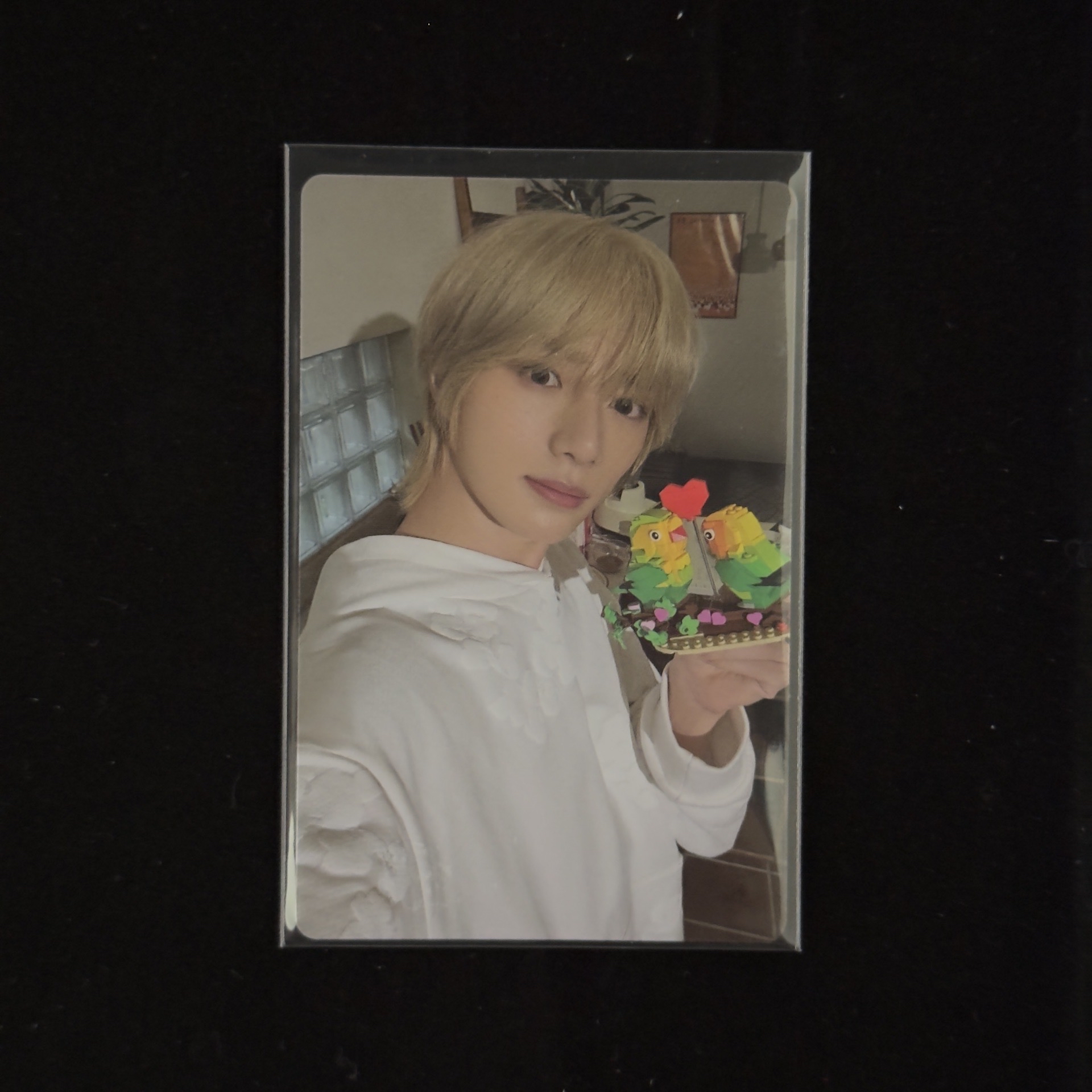 杋圭 迷七單封專卡