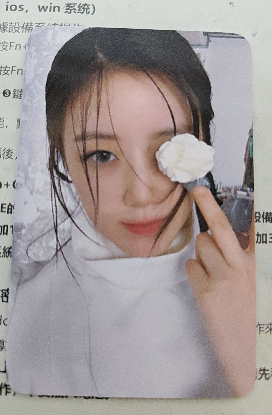 舒華花花（找不到圖庫