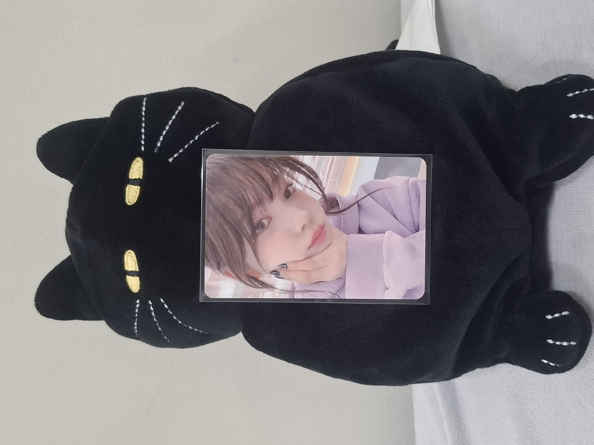 快來捏捏柚子的臉頰肉