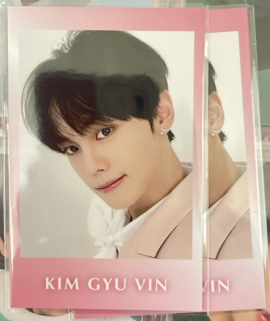 粉粉小狗拍立得奎