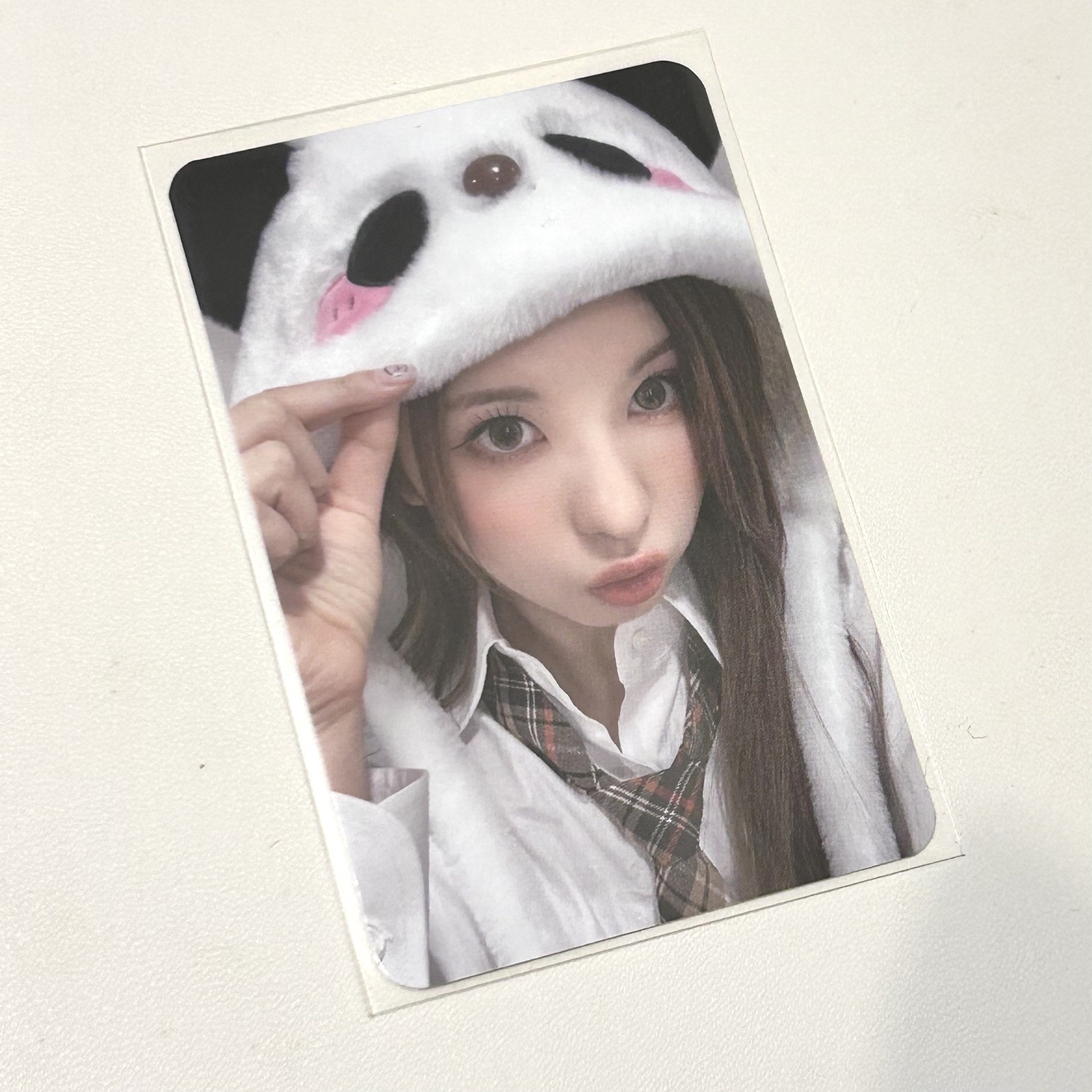 嘟嘟熊貓裴🐼 中文卡背💗