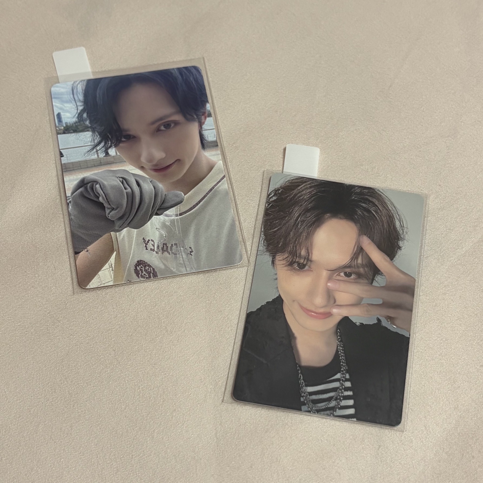 俊 喵喵喵貓咪拳頭👊🏻 給你LOVE的E🐱