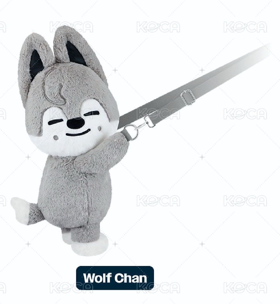 燦狼側背包 含一套滿額線上小卡