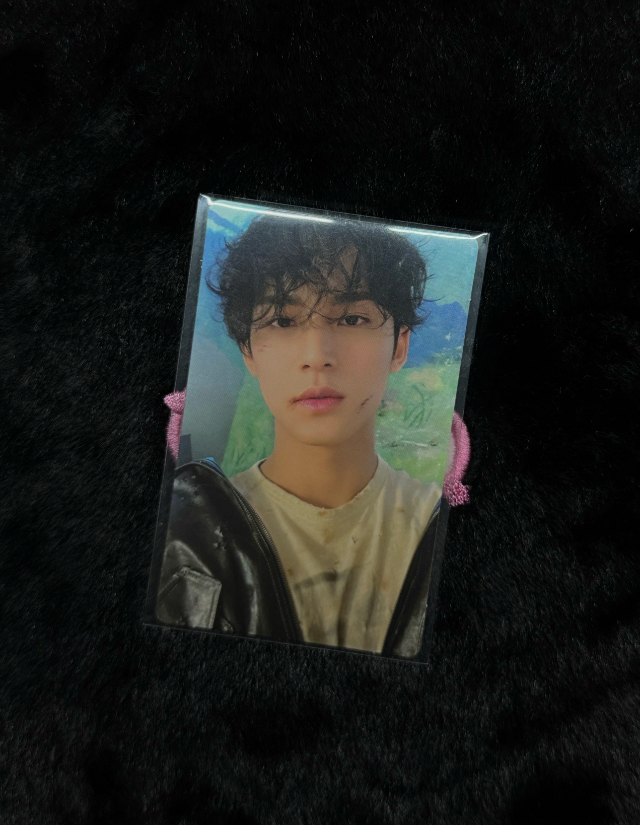 FACE THE SUN Weverse 奎