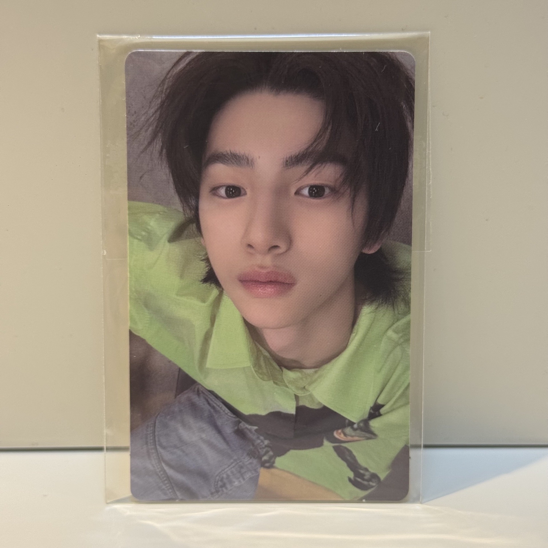 wvs預售 訓 現貨