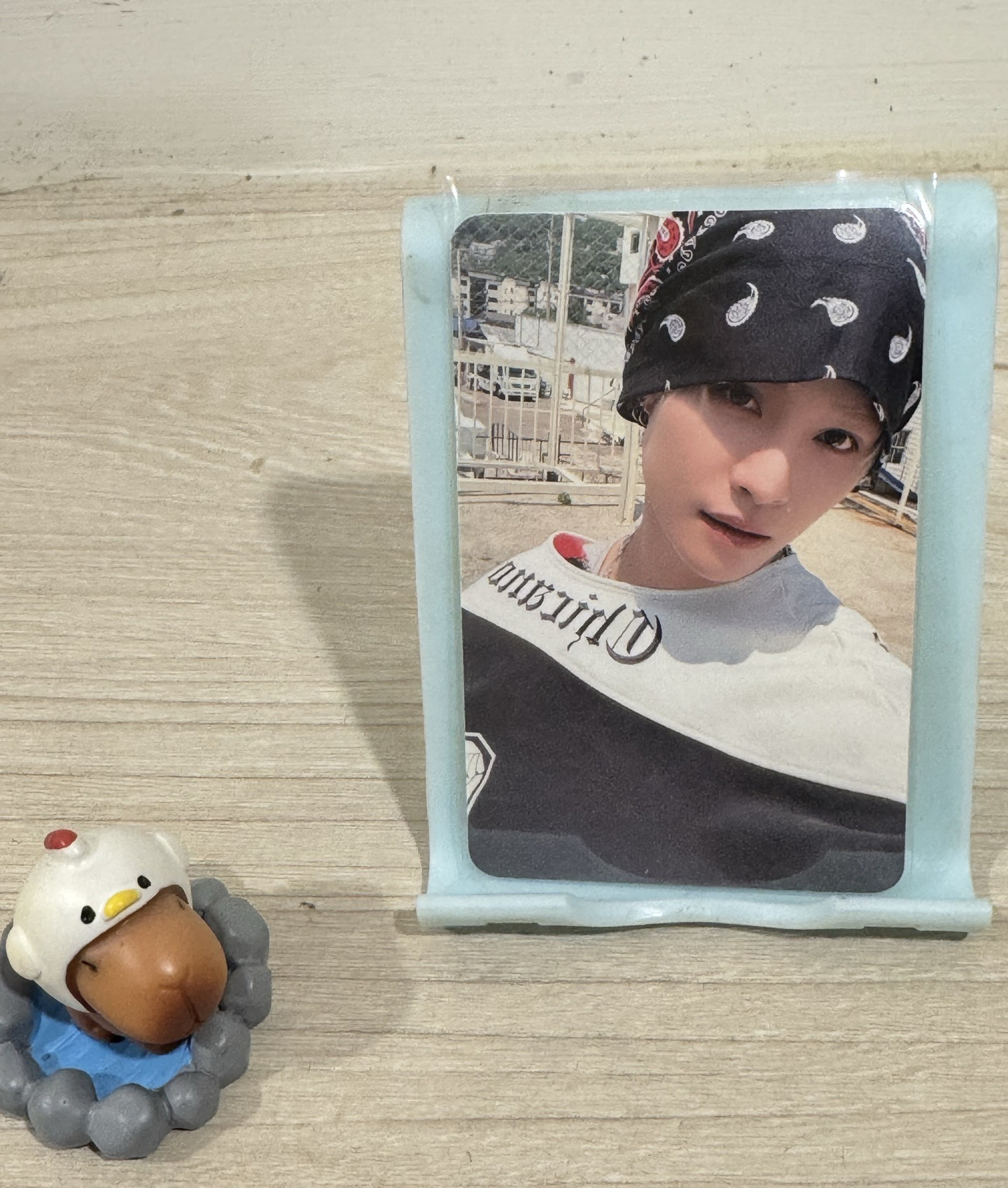 大樂隊｜專卡｜YANGYANG