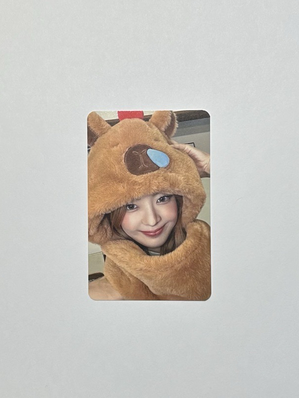 Gold | ms卡皮中文卡背 粒