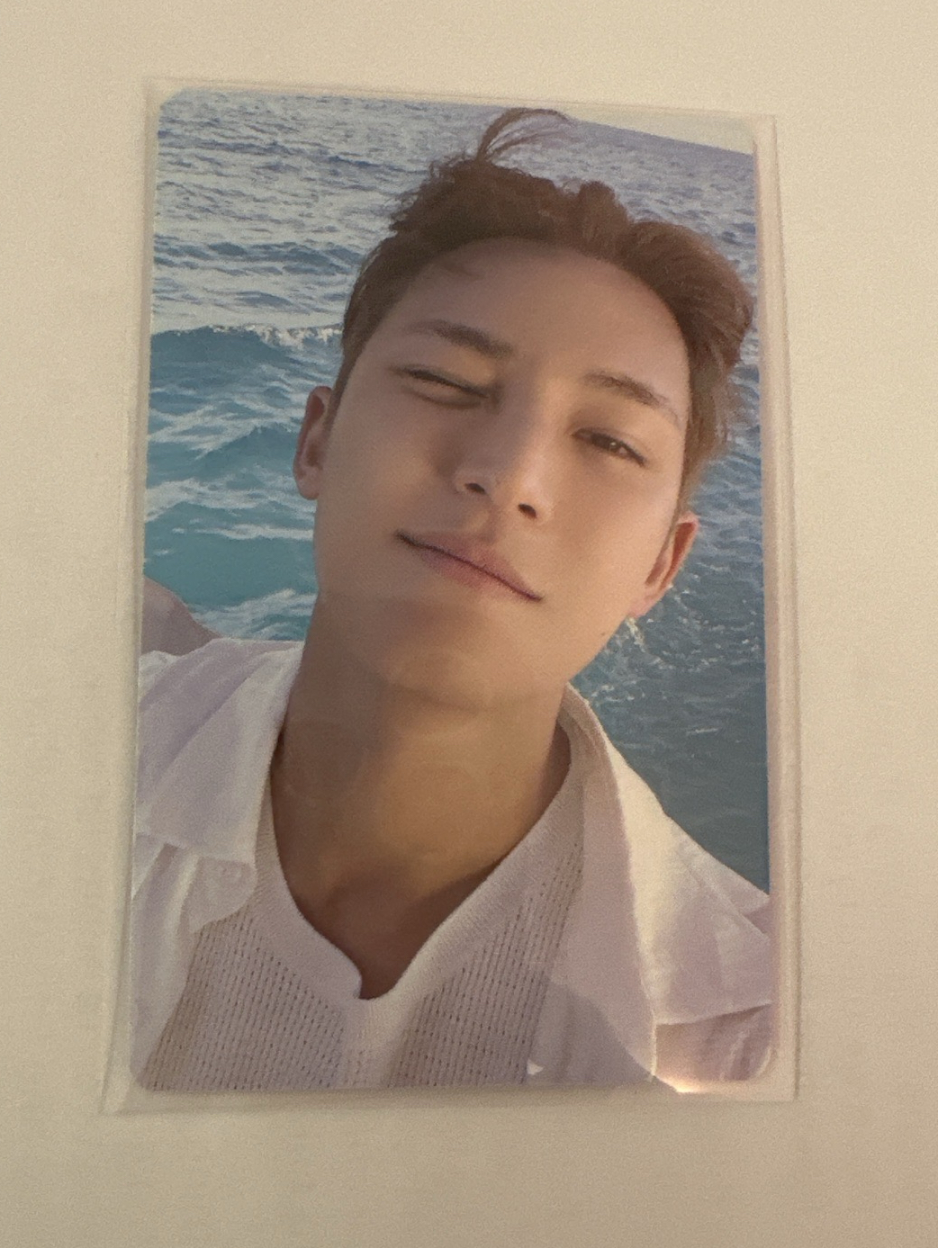 愛在海邊散步的浪漫功夫大狗幾米葵