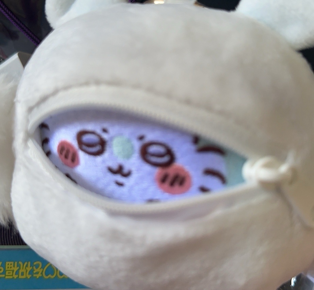 愛欺負吉伊的小桃