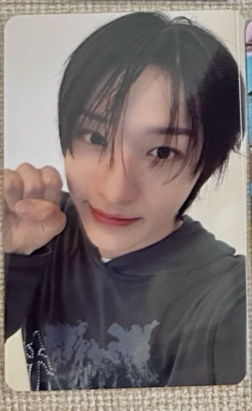 東花 迷一bdm預售