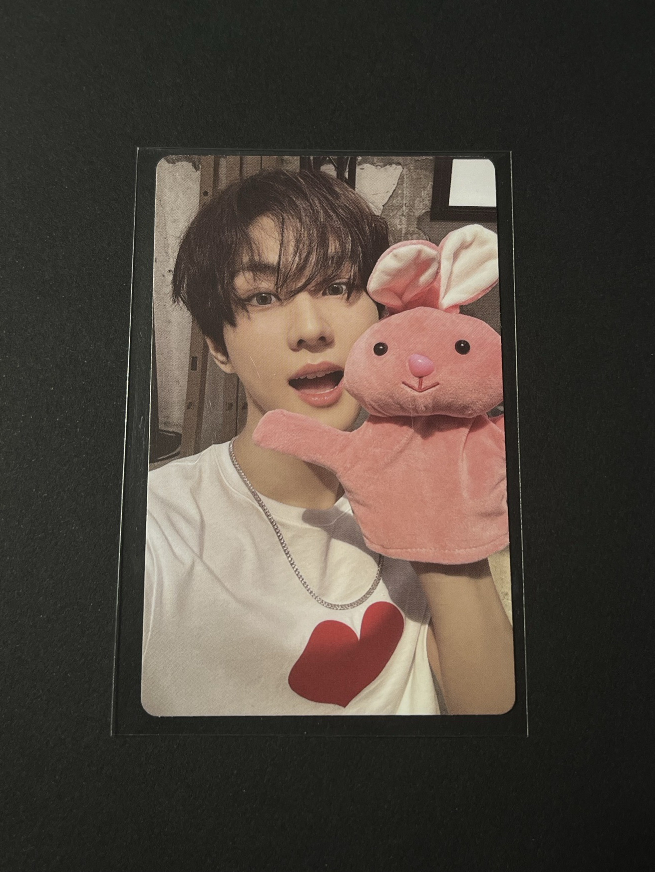 禎元小卡專區！