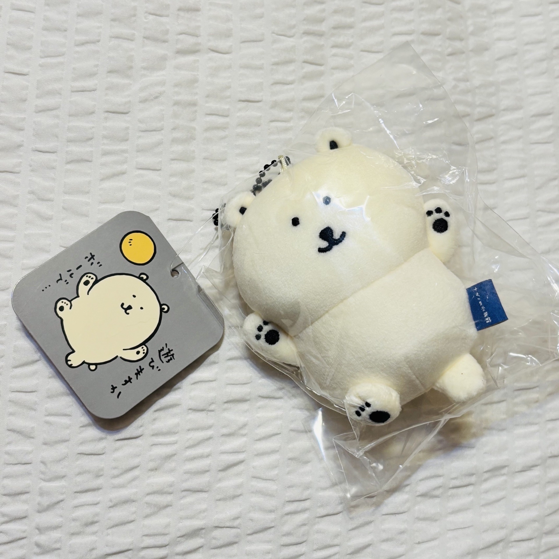 自嘲熊 長野水族館 / 白熊 北極熊