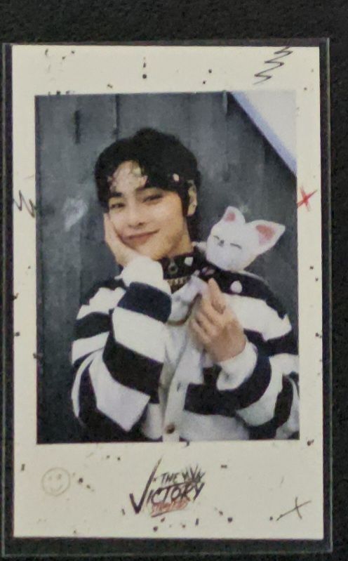 ✅️THE VICTORY快閃