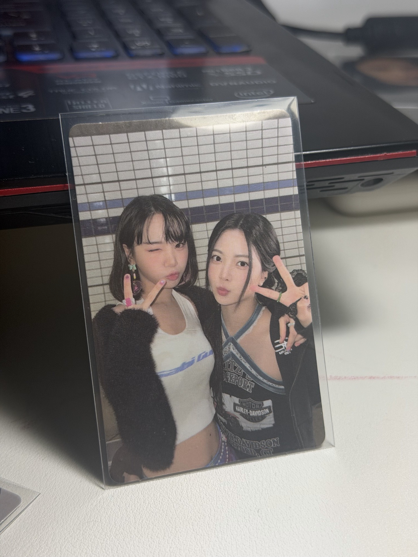 雙人卡 ANTIFRAGILE 專卡