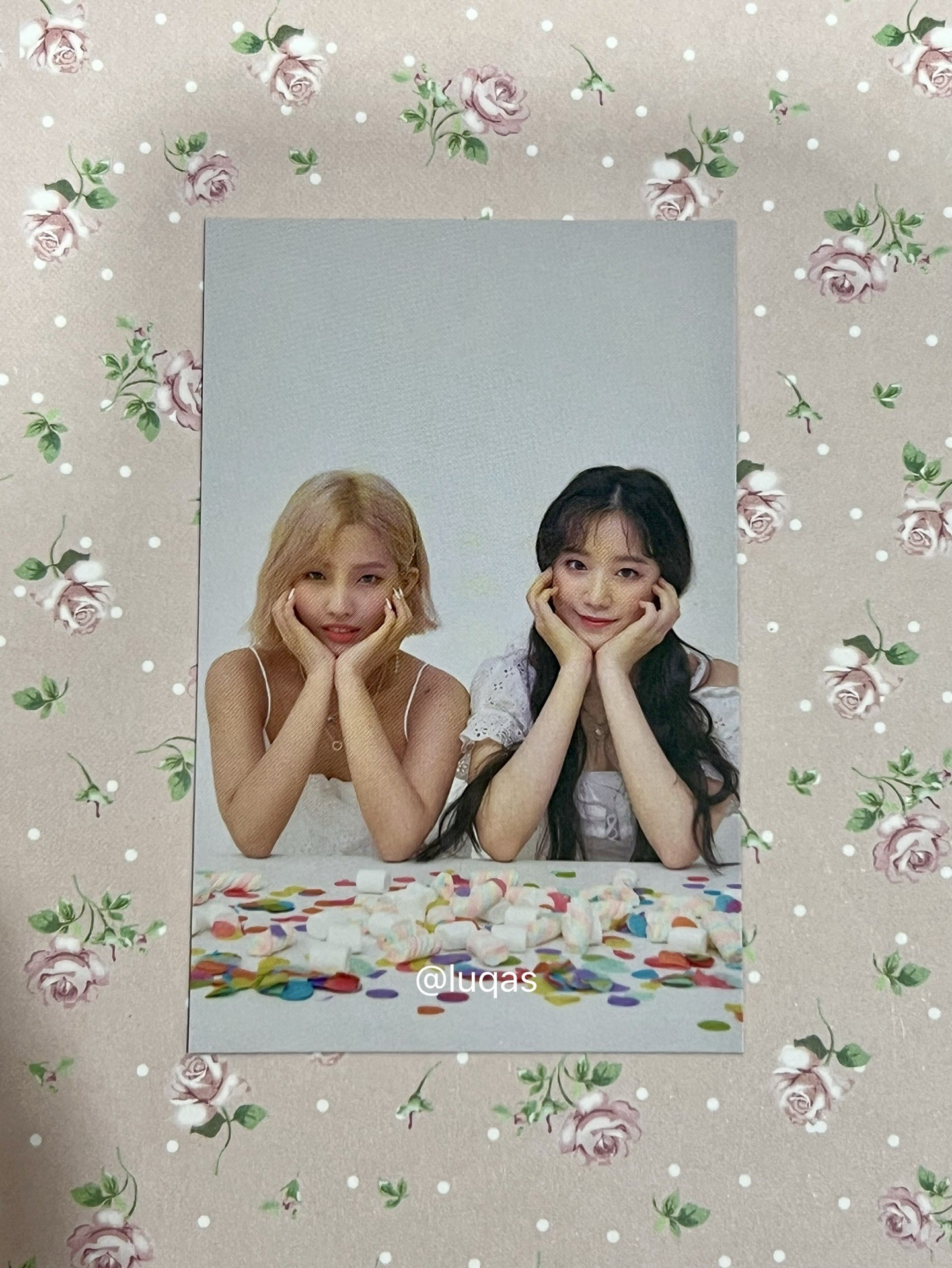 一期會員禮 花卷CP