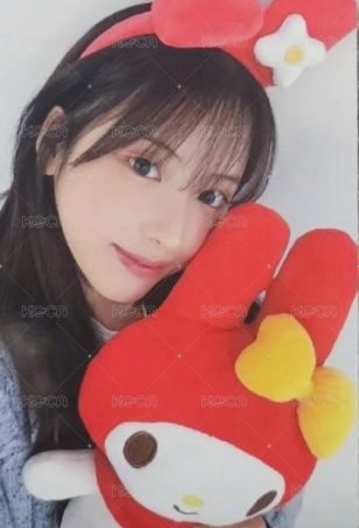 兔子角色 友🎉