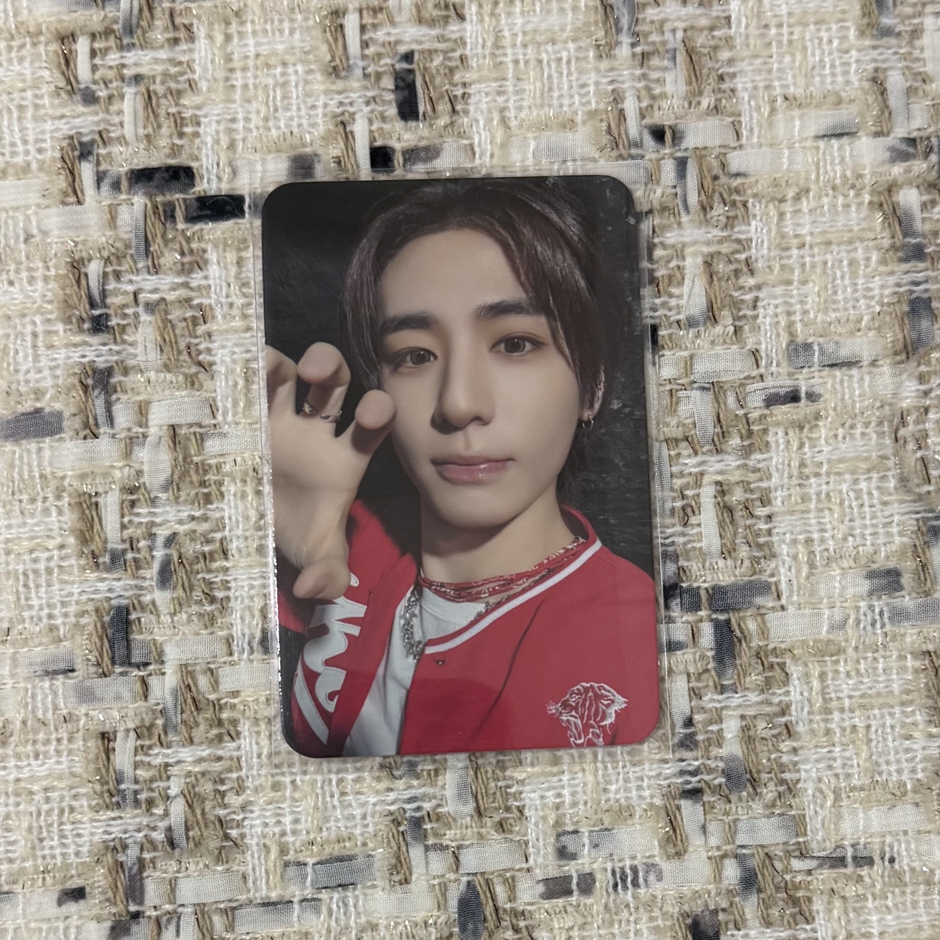 MUSINSA萌萌虎爪涵