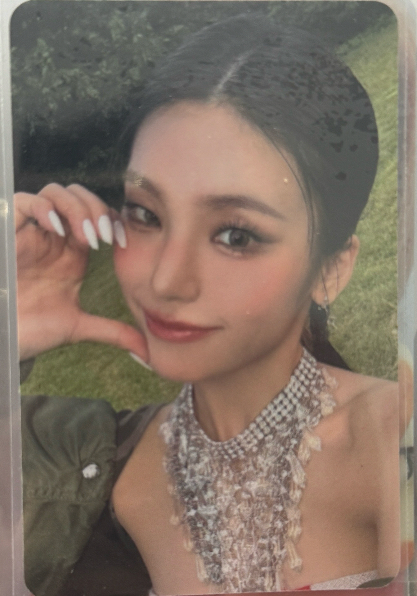 黃禮志 中文卡背特點