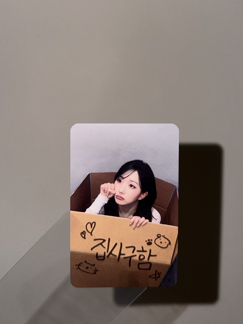 NMIXX 海嫄 鏟屎官