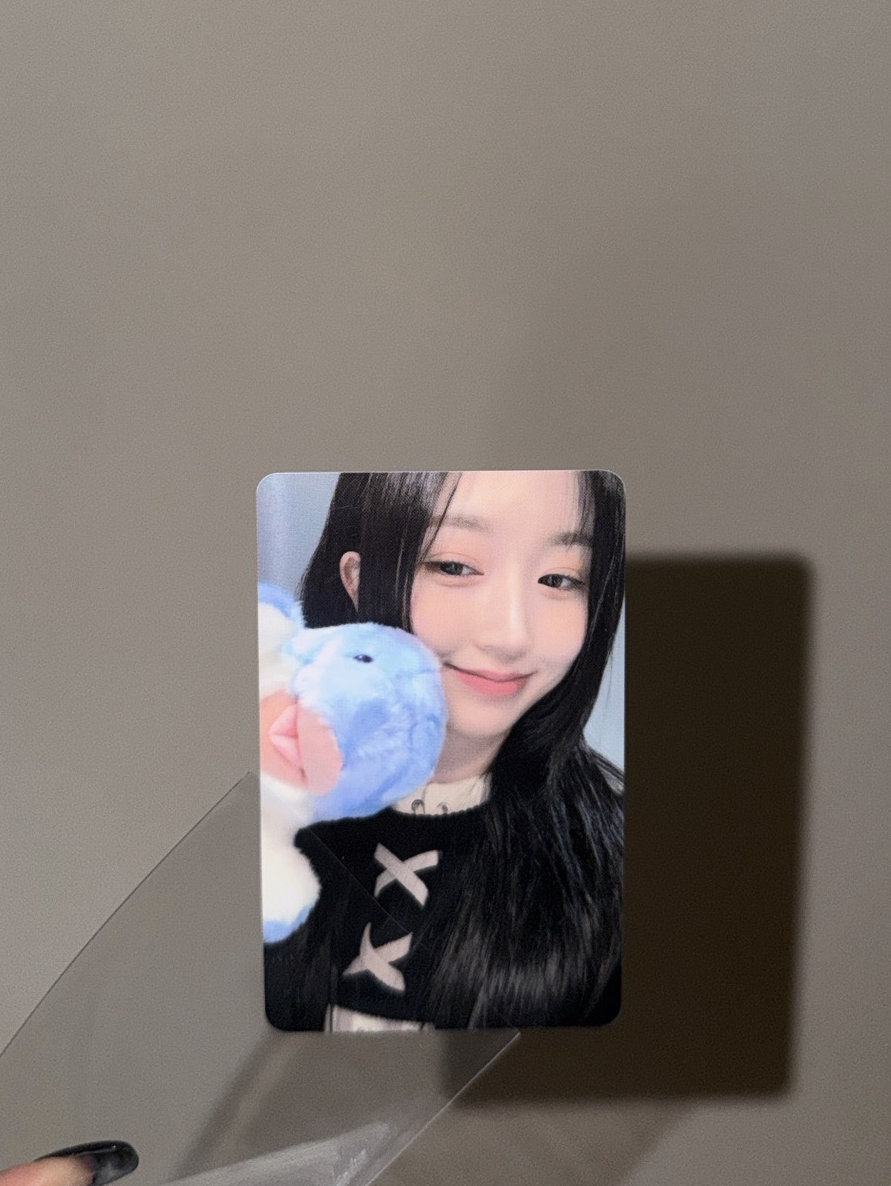 NMIXX 海嫄 海豚幸運卡