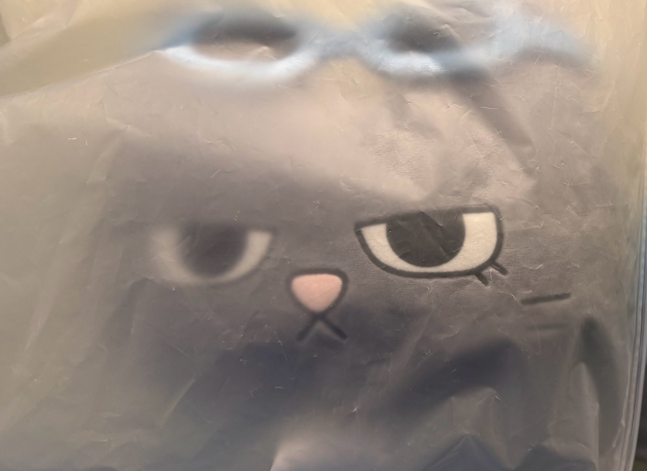 漢泰風抱枕+壓克力吊飾 | 默認廠損