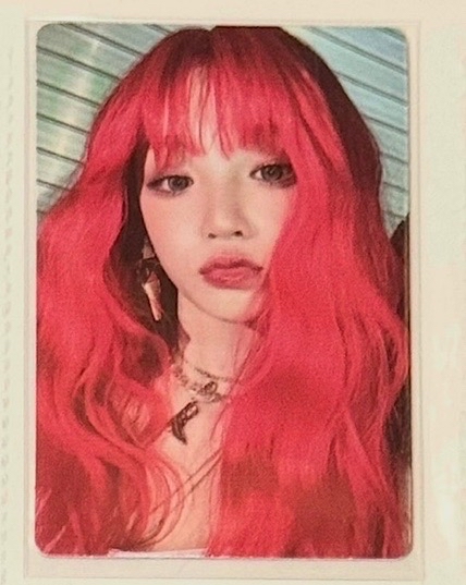 rabbit ver.琦專卡