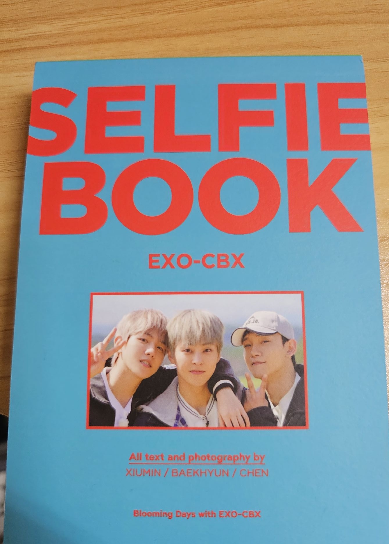 EXO-CBX爬梯子 日本自拍書