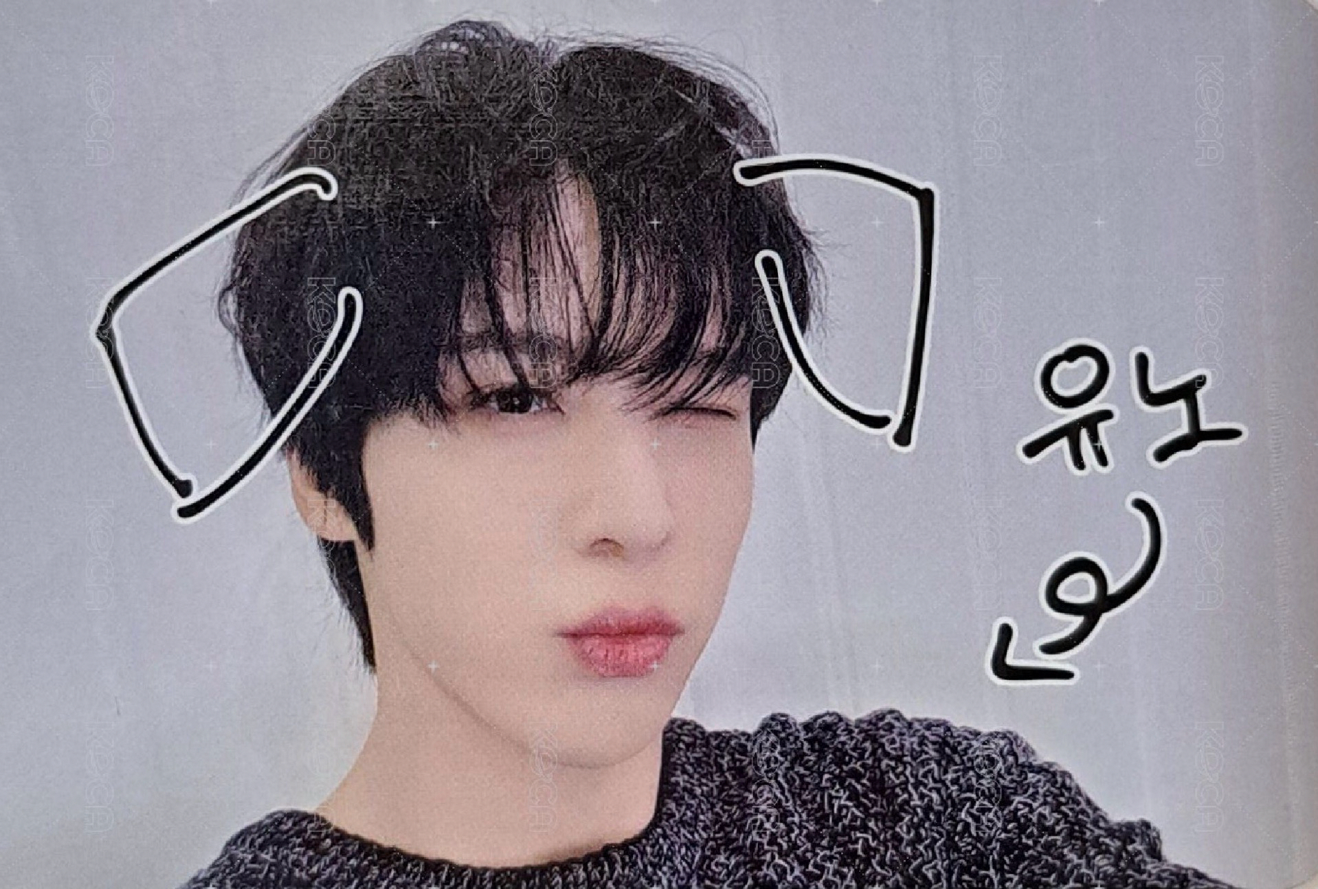 潤浩寵物相機+棒球⚾️