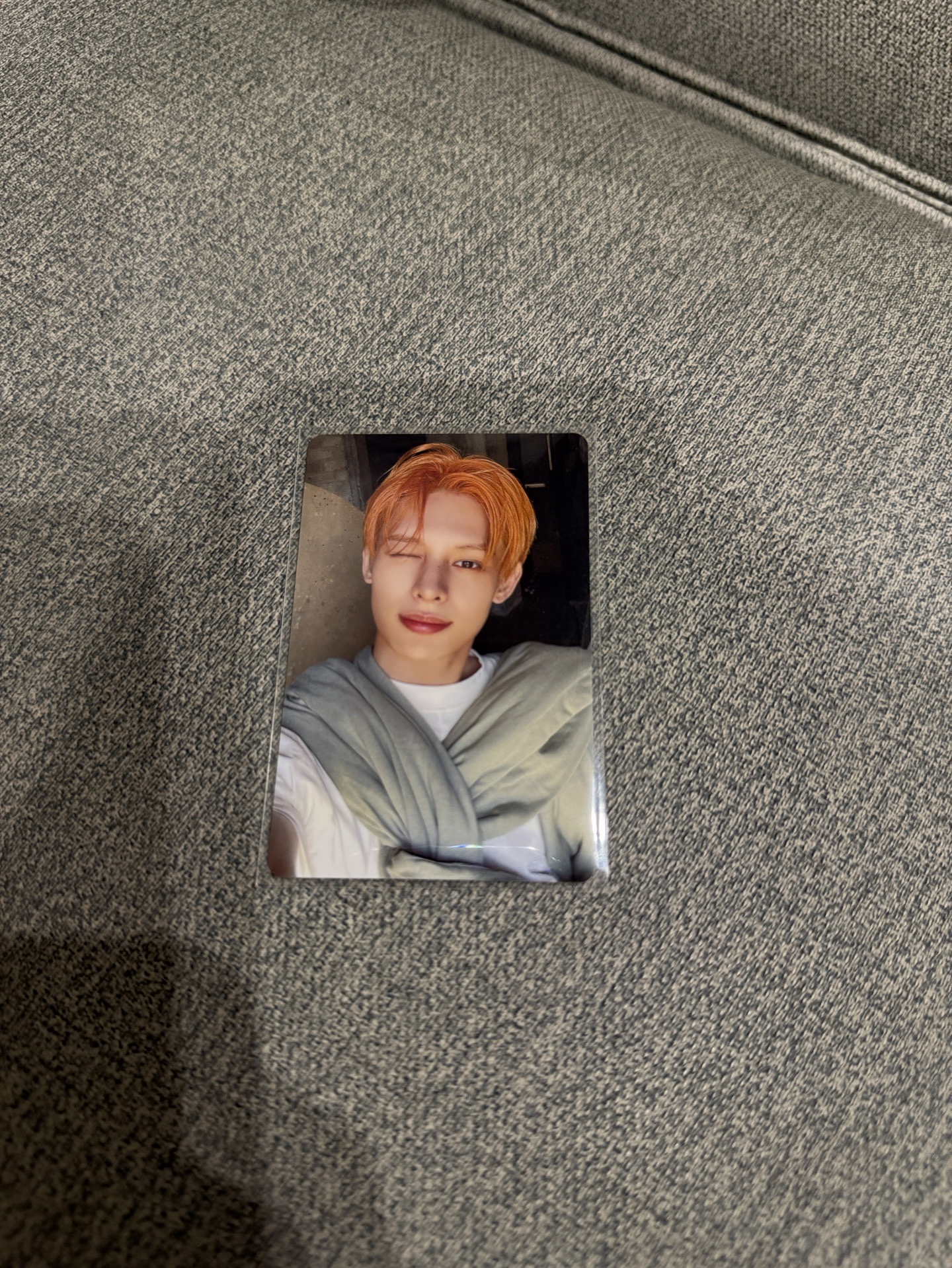 ｜Cortis｜日咖預售凡