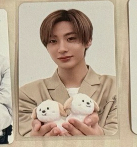 你看我有兩隻狗龍