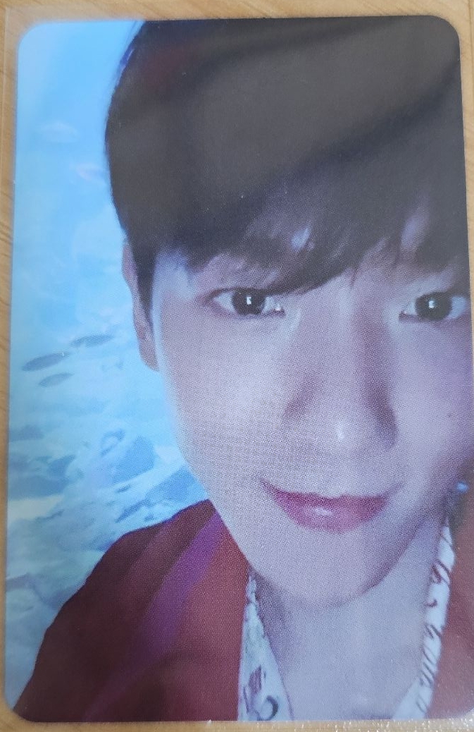 EXO BAEKHYUN 伯賢專輯小卡