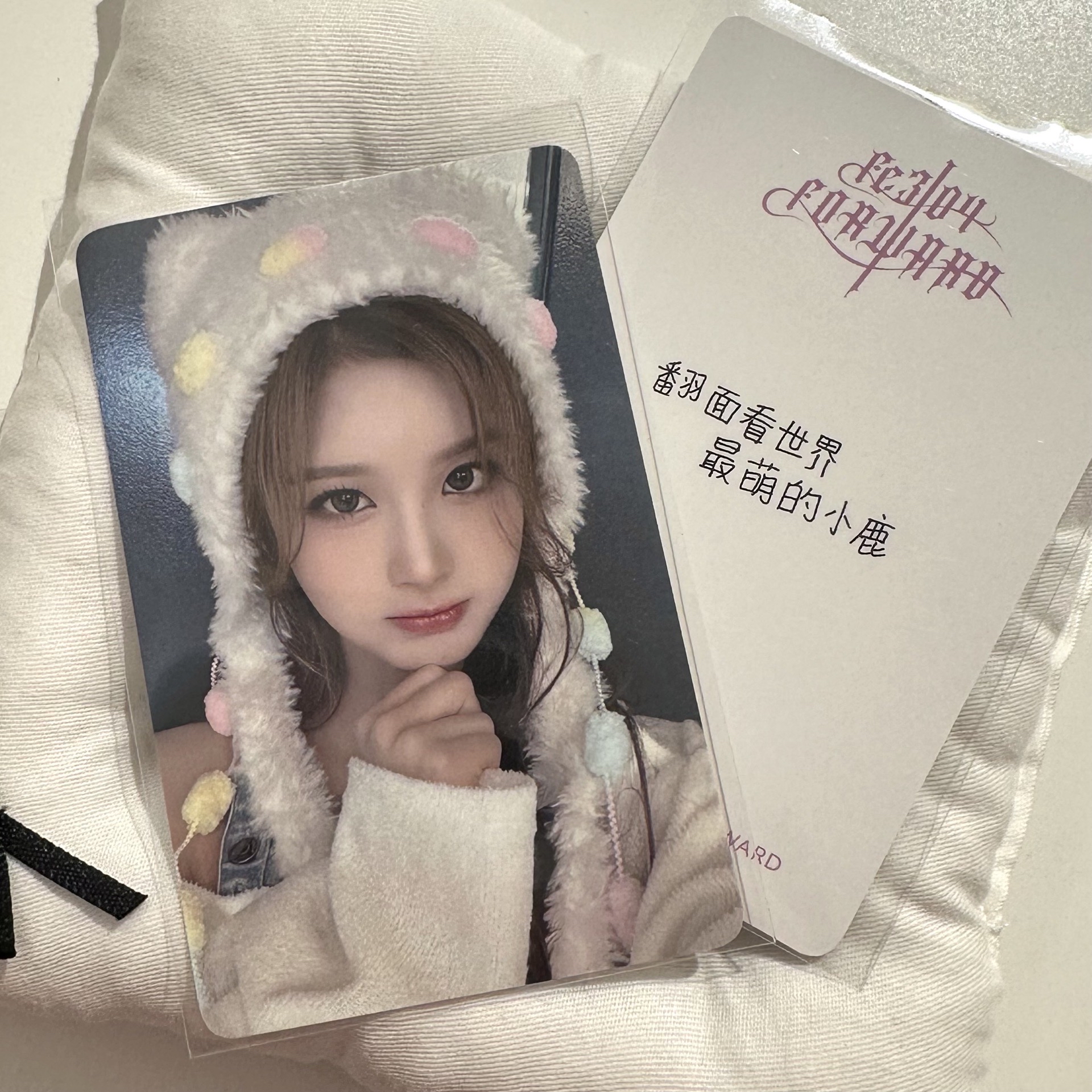 雪允 FORWARD 泡泡摩奇 澳門 簽售卡 鬼怪