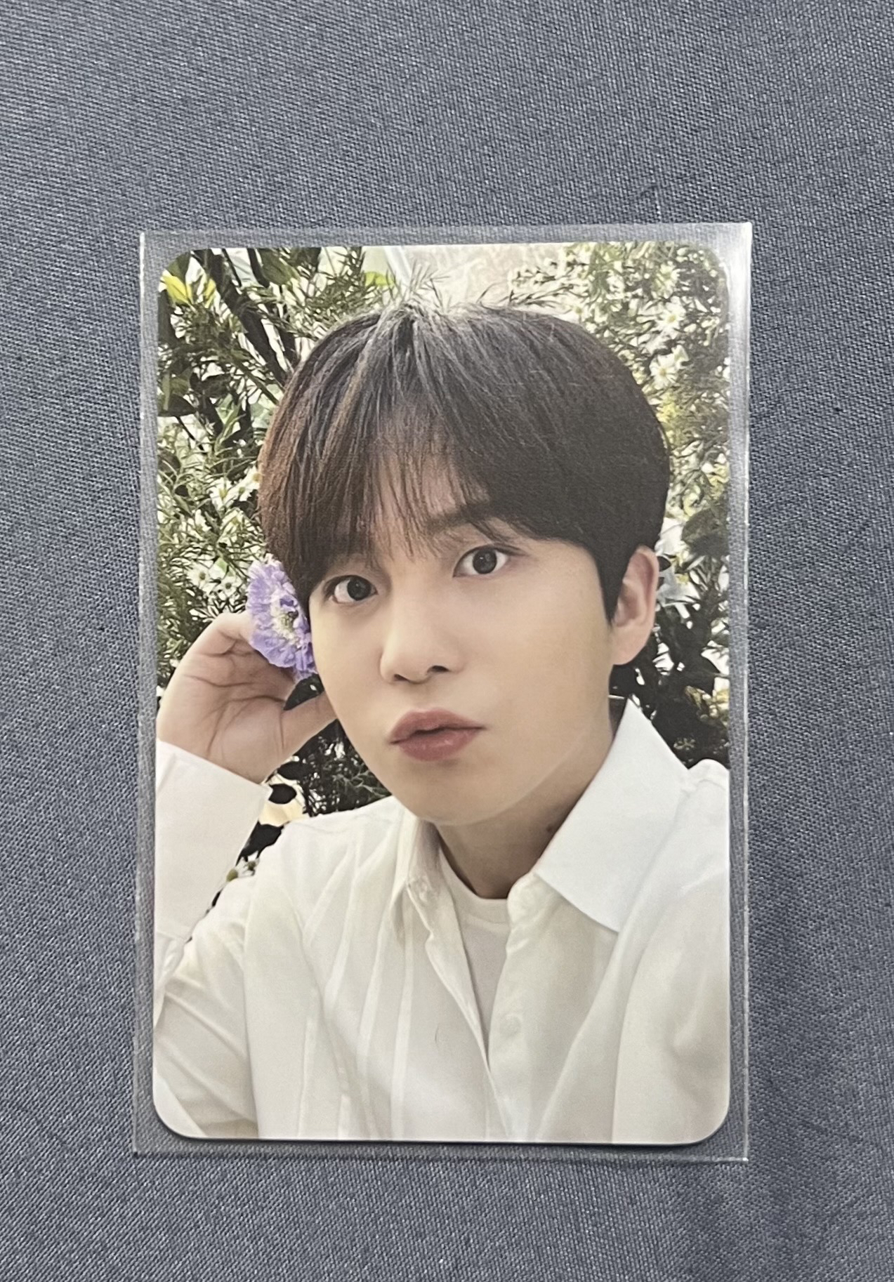 ATEEZ 鍾浩 NACIFIC 1.0花花