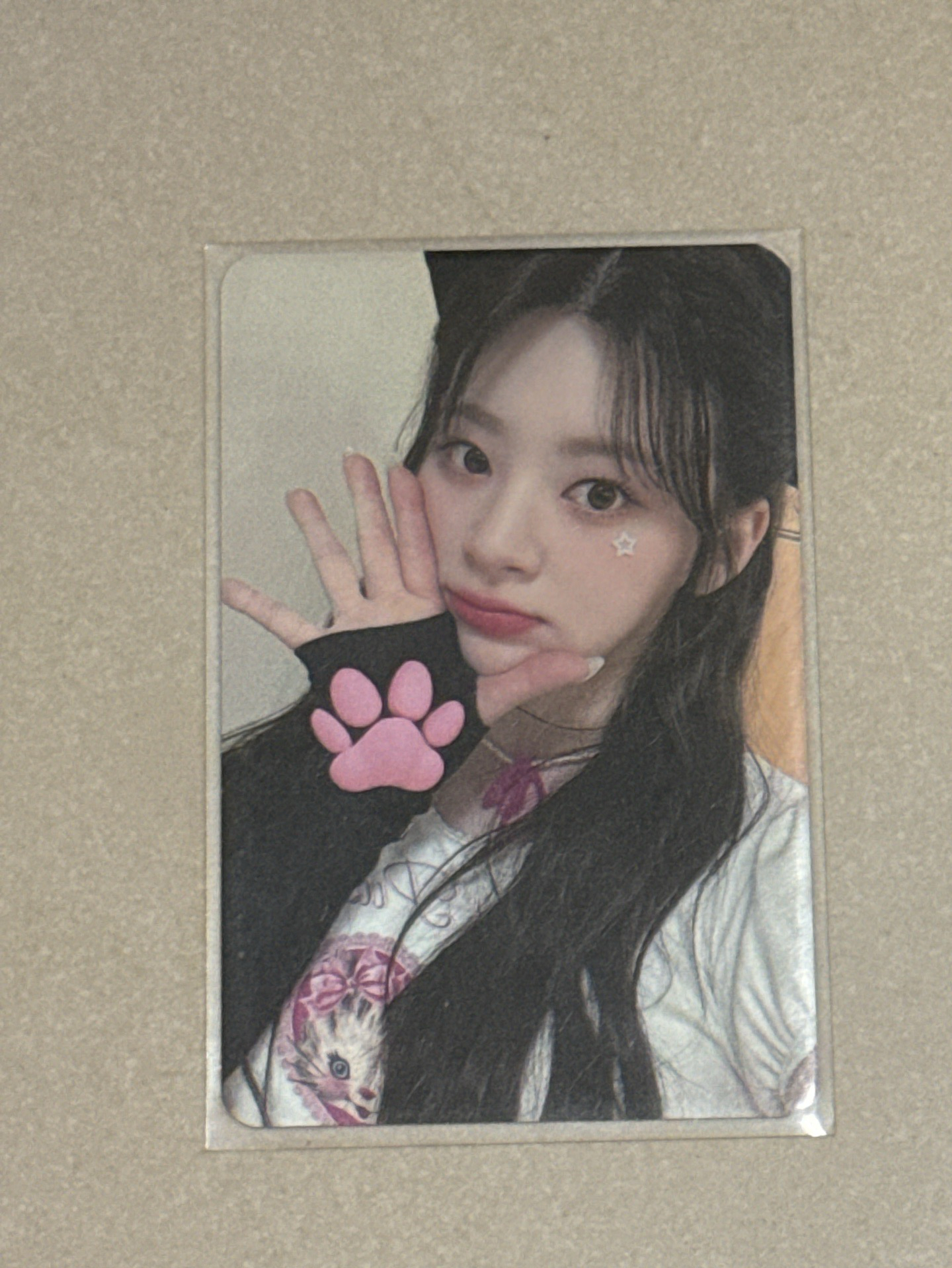 Teddy Bear k4 簽售卡 