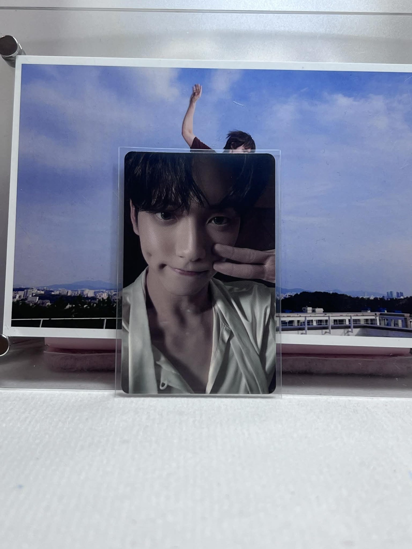 迷六貴氣小王子👑