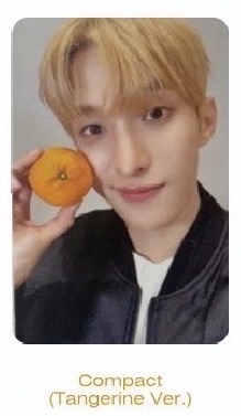 【預購】𝐃x𝐒 碩 wvs c盤直播卡+專