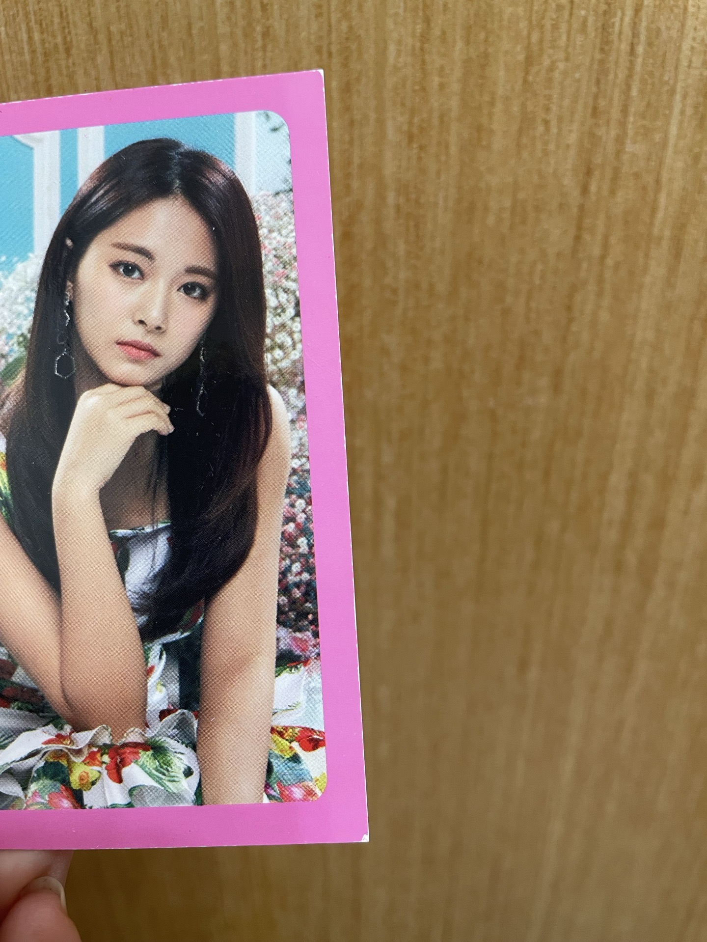 Twice_Twiceland二巡演唱會 鐵盒小卡：粉板子瑜卡