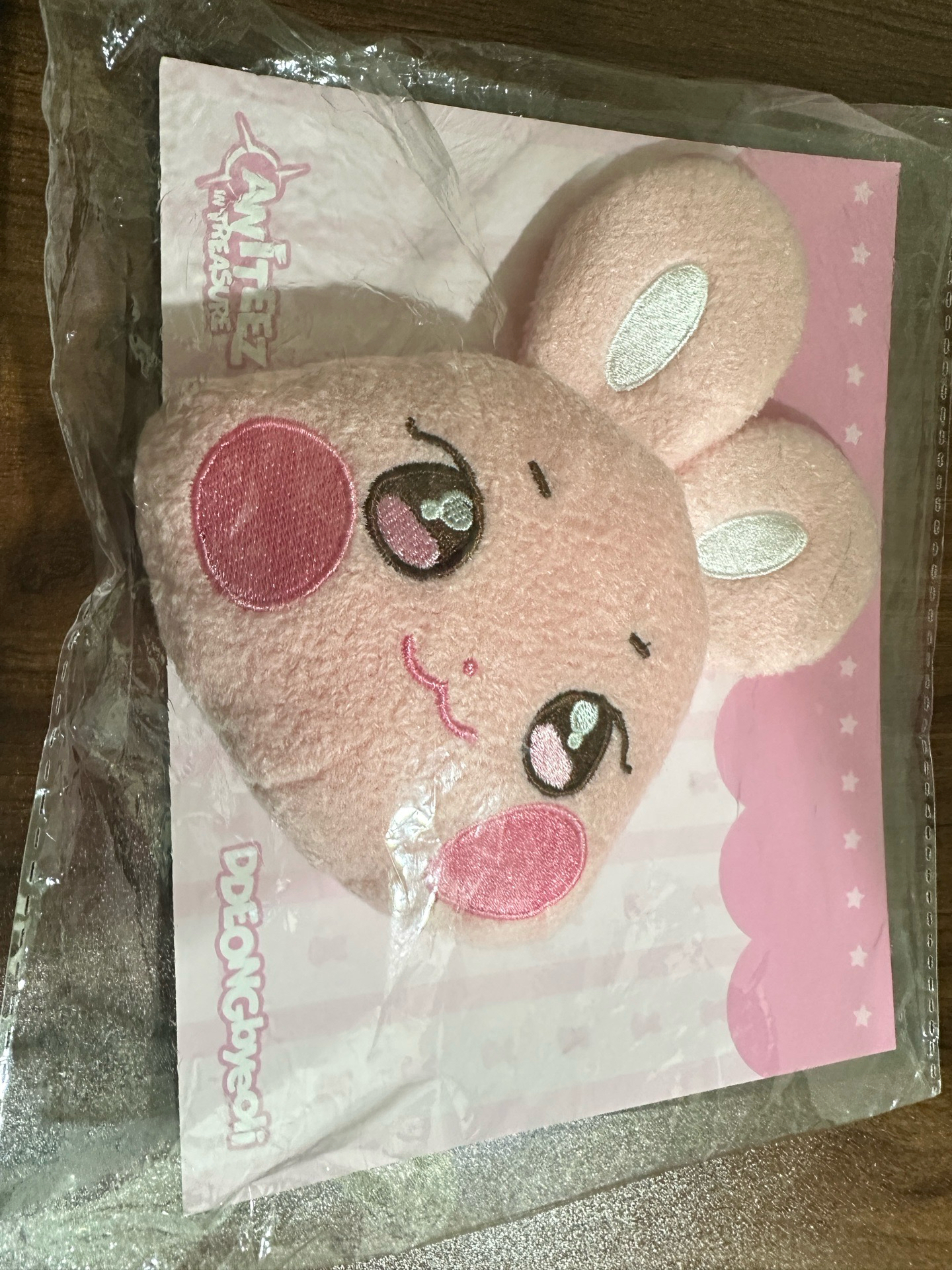 🐰ANITEEZ IN TREASURE 行李吊牌 PLUSH NAME TAG 星大頭