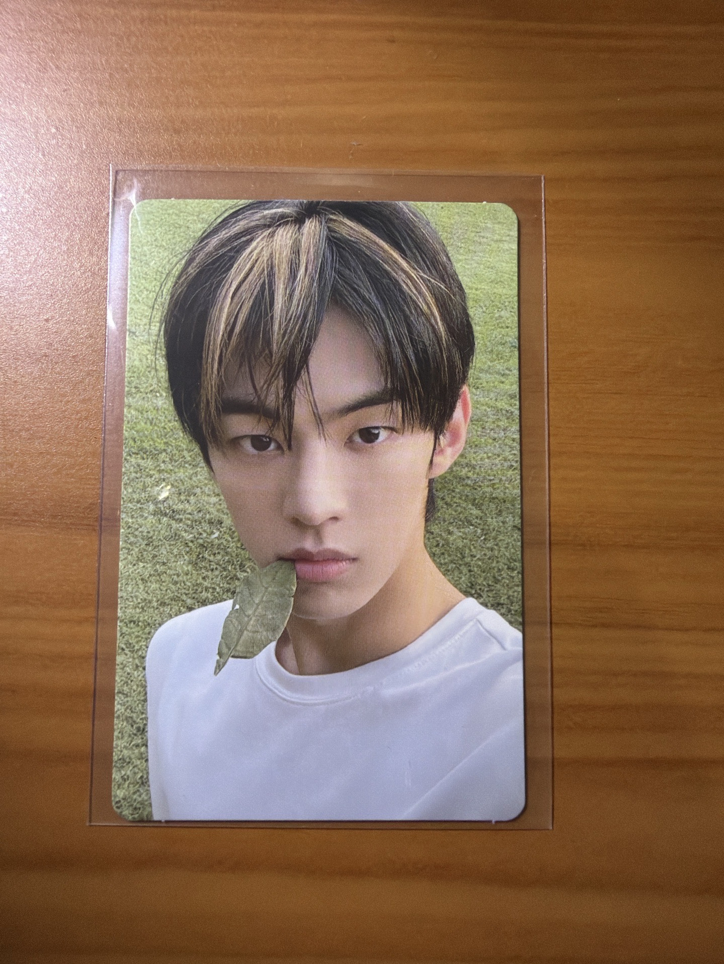 金道勳迷二專卡