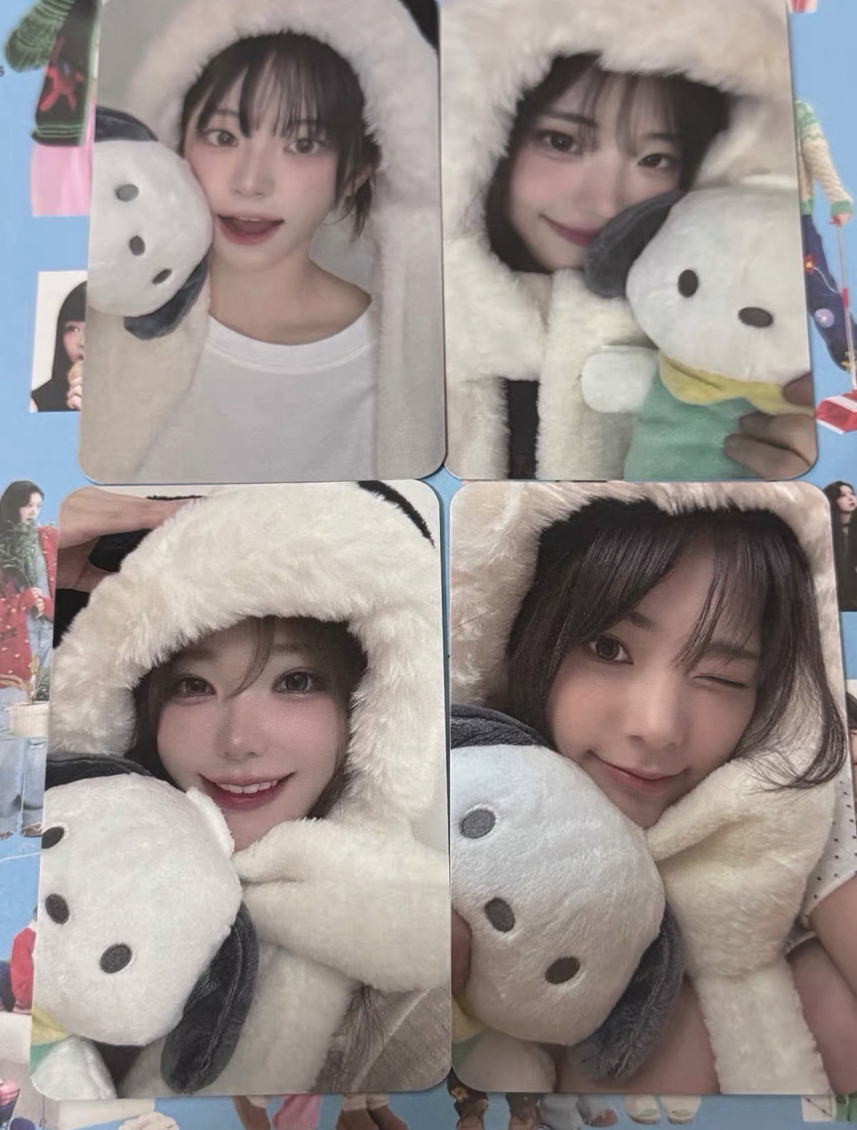 QWER 帕恰狗一套