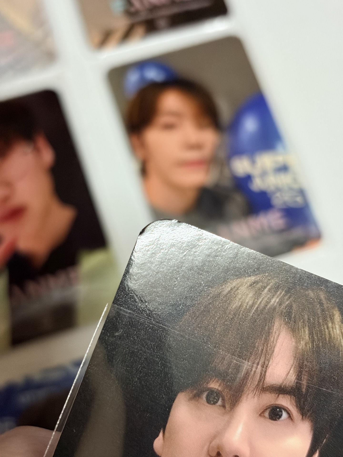 （整套9張）飯迷 SJ 台北簽售卡 童、圭邊角微損