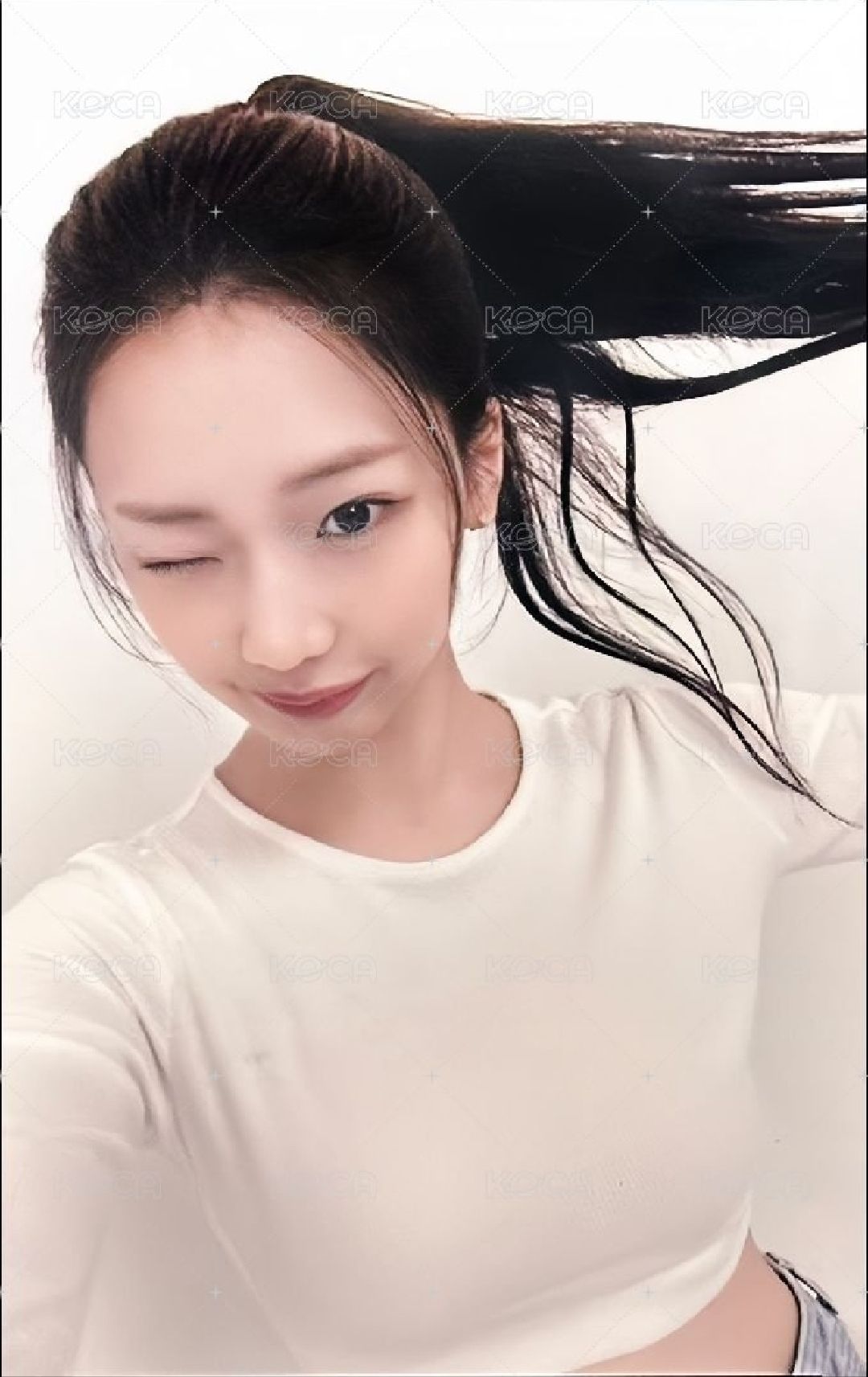 寶怪小卡出清 露柒+送一整盒鼻貼(未拆封)